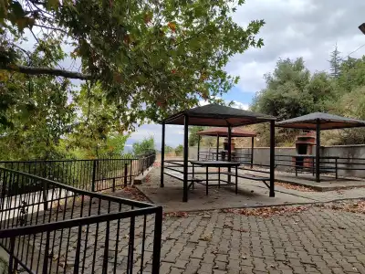 Ayazmana Mesireliği'nde kamp alanı ve ağaç gölgesinde dinlenme yeri