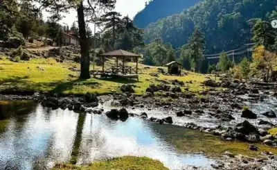 Başpınar Tabiat Parkı'nda ormanlık alanda akan dereler