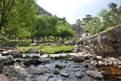 Başpınar Tabiat Parkı'nda ahşap köprü ve piknik alanı