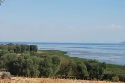 Beyşehir Gölü ve Çevresi zeytin ağaçları, su yüzeyi