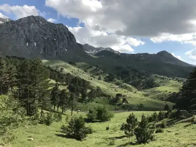 Dedegöl Dağı orman örtüsü ve geniş yeşil yayla manzarası