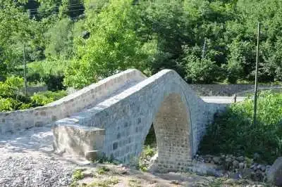 Gargılı Lala Medresesi (Taş Medrese) kemer ve yeşil bitki örtüsü