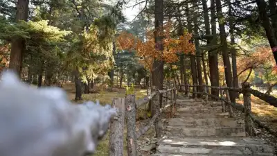 Kızıldağ Milli Parkı'nda taş patika ve ormanlık yürüyüş yolu