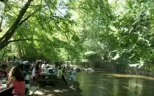 Milas Mesireliği ağaçlar altında akan nehir kenarı