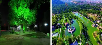Milas Mesireliği gece aydınlatmasıyla ışıl ışıl alan