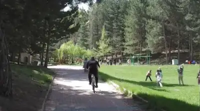 Milas Mesireliği ahşap köprü ve orman yolu