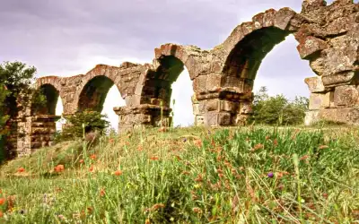 Pisidia Antiokheia Su Kemerleri çiçekli tarla ortasında