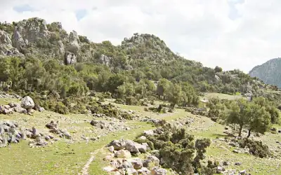 Taşkapı Harabesi dağlık bölgede kalıntılar ve yeşillik