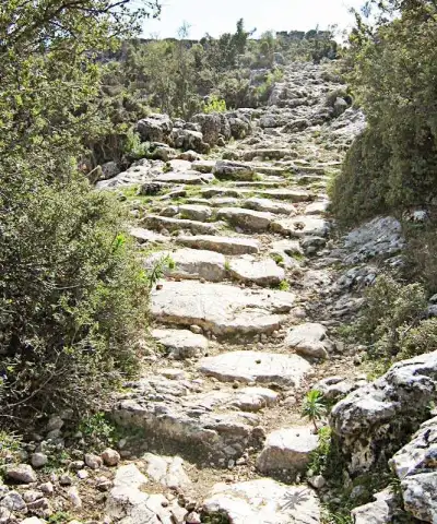 Taşkapı Harabesi orman yolu taş basamak arkeolojik alan