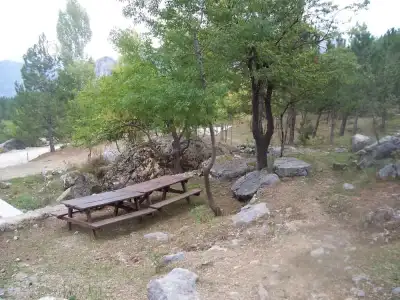 Tota Dağı Orman İçi Dinlenme Tesisleri piknik masası orman