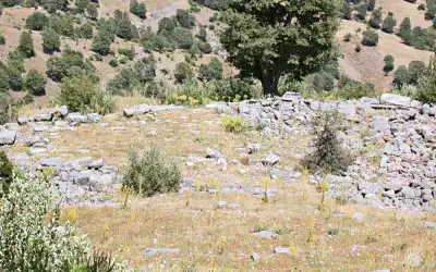 Zorzila Harabesi orman alanında taş yapılar