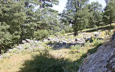 Zorzila Harabesi orman ortasında dönem taşları