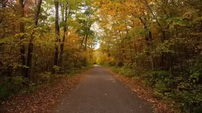 Belgrad Ormanı