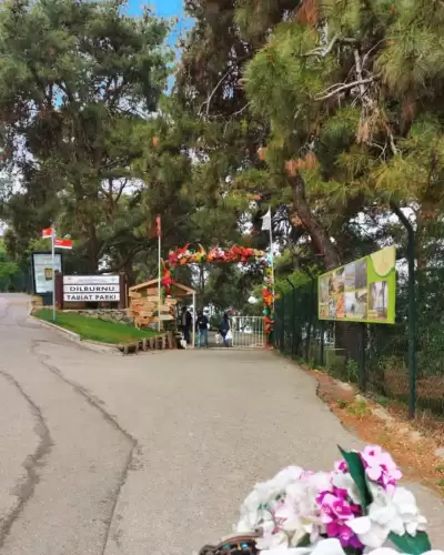 Dilburnu Tabiat Parkı