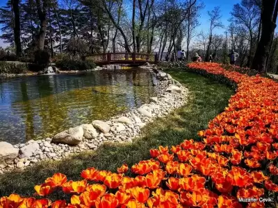 Emirgân Korusu
