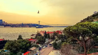 Fethipaşa Korusu