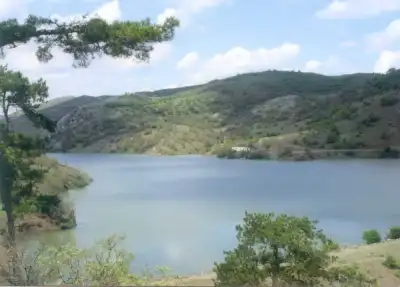 Cehirlik Yaylası gölü ve orman görünümü