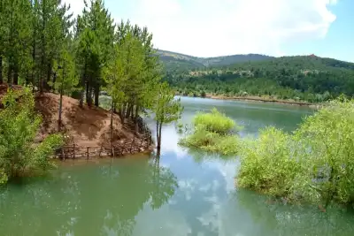 Yozgat Çamlığı Milli Parkı iç bölgesinde ormanla çevrili göl kıyısı