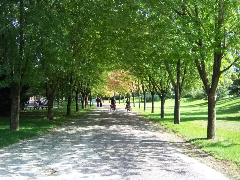 Soğanlı Botanik Parkı ağaçlı yürüyüş yolu