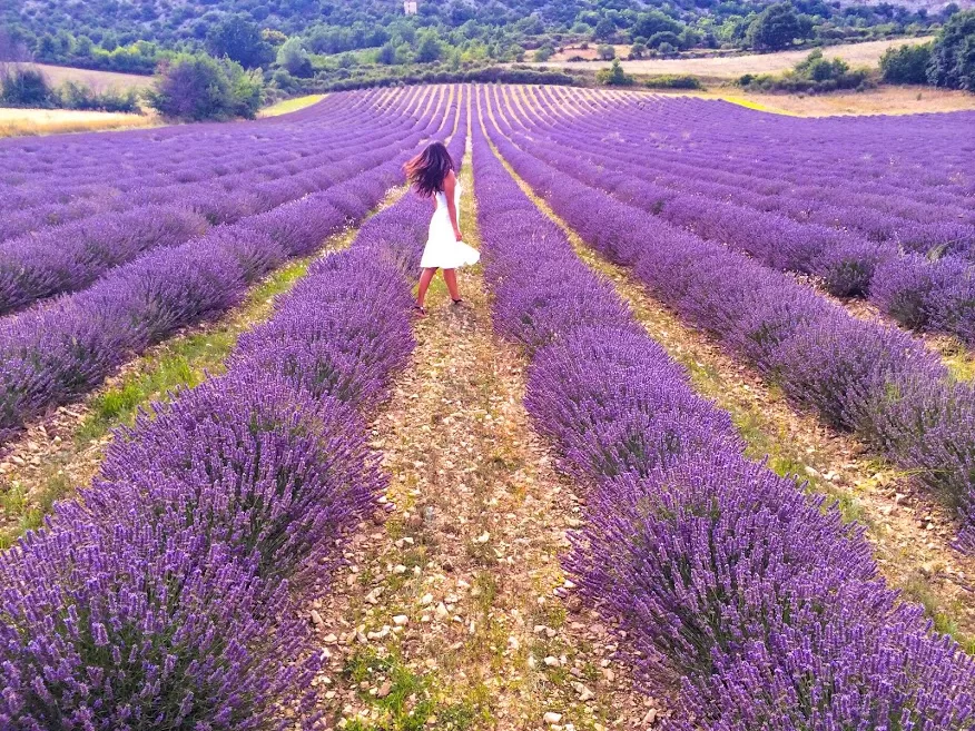 Fransa fotoğraf